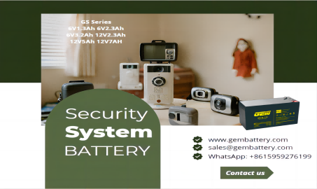 باتری های سیستم امنیتی خانگی سری GS: از خانه خود محافظت کنید و از ایمنی خود محافظت کنید